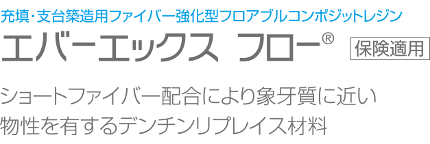 エバーエックスフロー