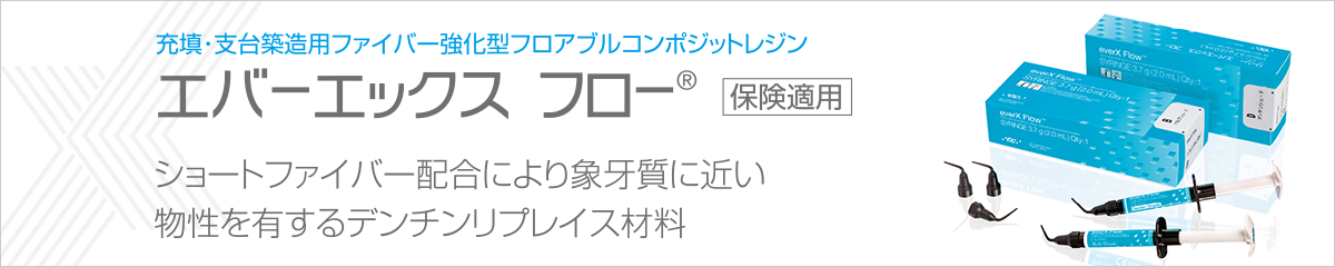 エバーエックスフロー