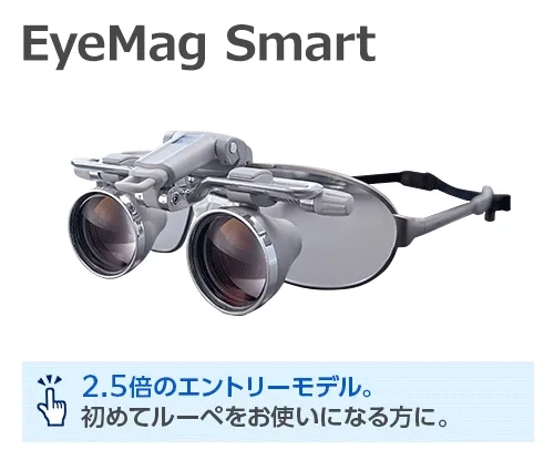 EyeMagSmart.png