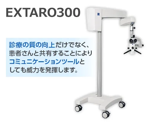 extaro300.png