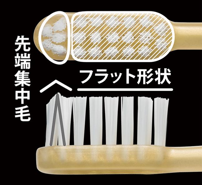 RUSCELLO TOOTH BRUSH W-10 | 株式会社ジーシー